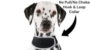 Broad GPS GSM Coverage Wireless Pet Tracking Collars for Hunting Dogs Size:XXL