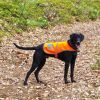 Orange Reflective Dog Vest L Size Hi Visibility Fluorescent Blaze Dog Vest Helps Protect Your Best Friend from Motorists & Hunting Accidents On or Off